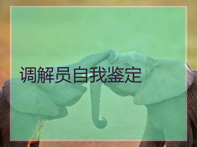 调解员自我鉴定