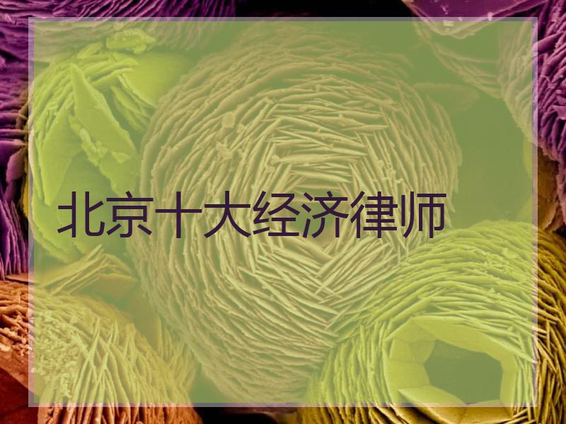 北京十大经济律师