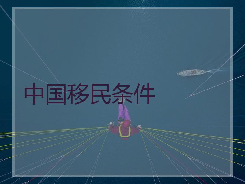 中国移民条件