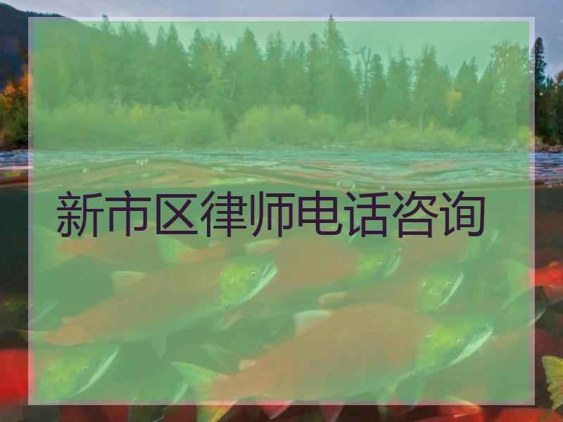 新市区律师电话咨询