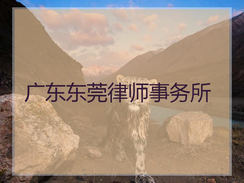 广东东莞律师事务所