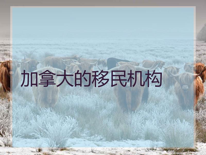 加拿大的移民机构