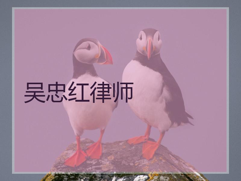 吴忠红律师