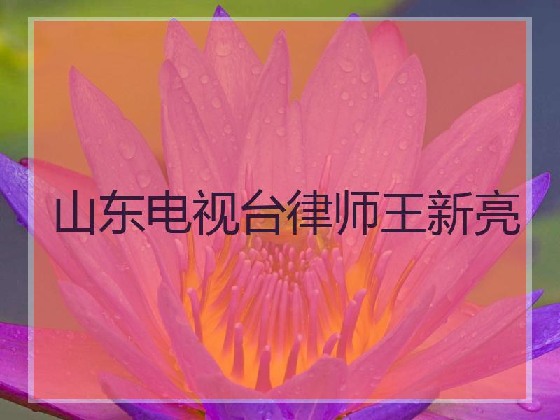 山东电视台律师王新亮