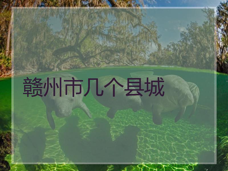 赣州市几个县城