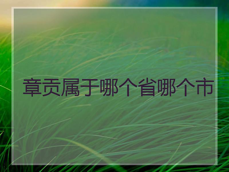 章贡属于哪个省哪个市