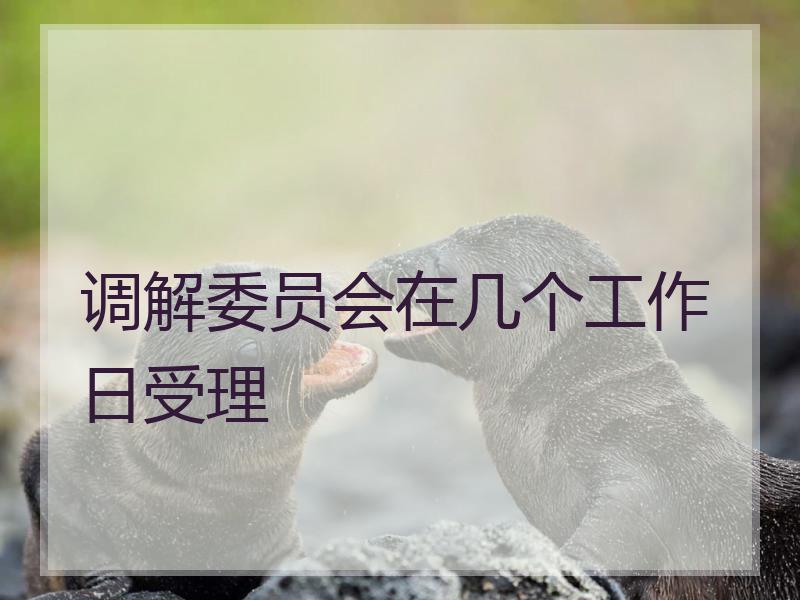 调解委员会在几个工作日受理
