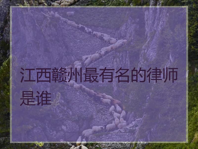 江西赣州最有名的律师是谁