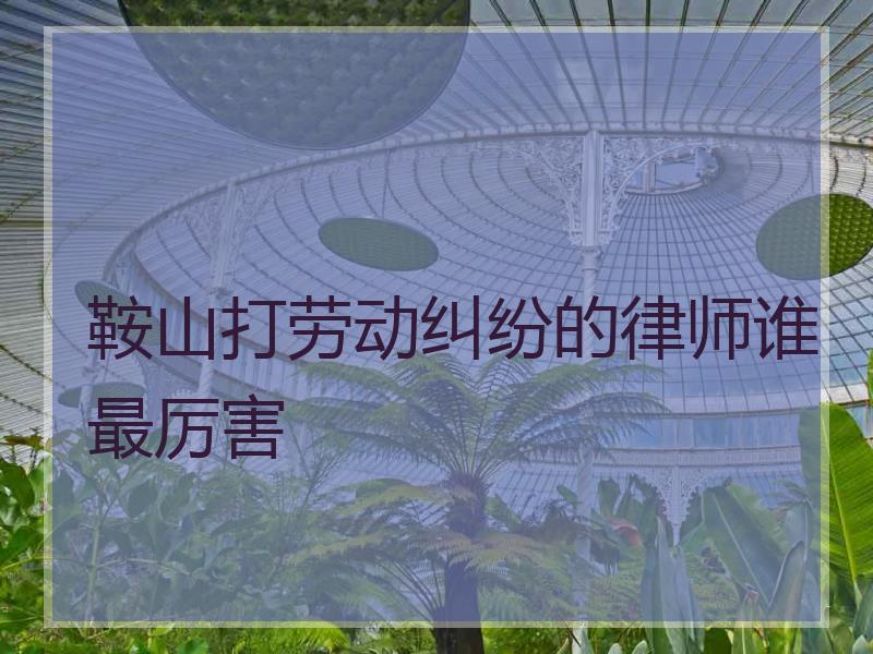 鞍山打劳动纠纷的律师谁最厉害