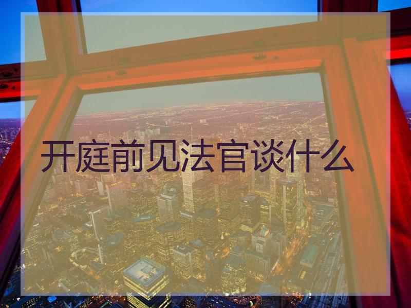开庭前见法官谈什么