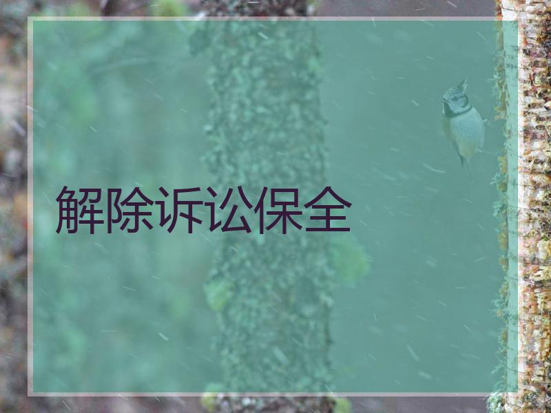 解除诉讼保全