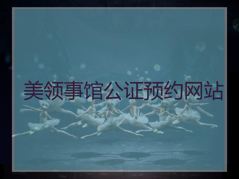 美领事馆公证预约网站