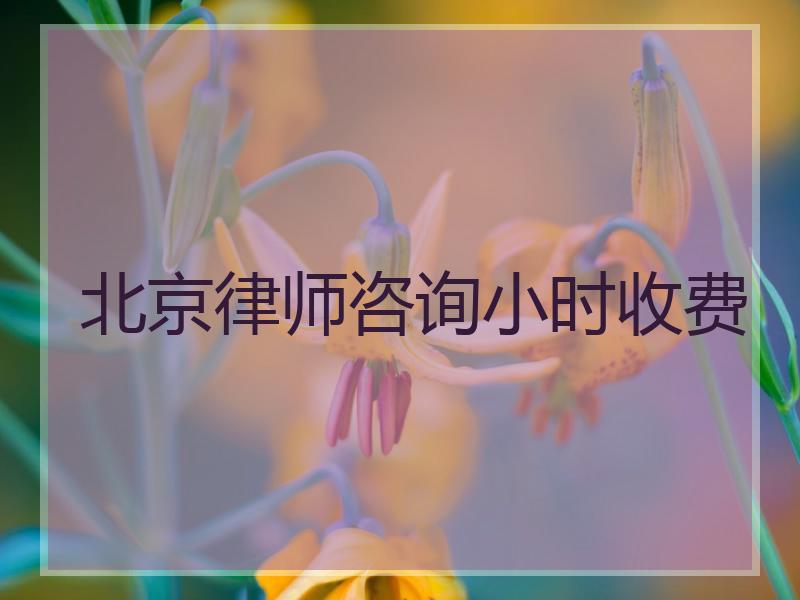 北京律师咨询小时收费