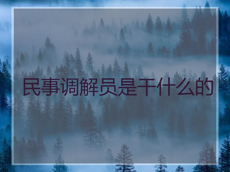 民事调解员是干什么的