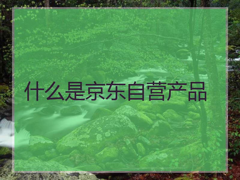什么是京东自营产品