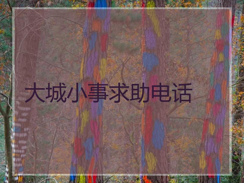 大城小事求助电话