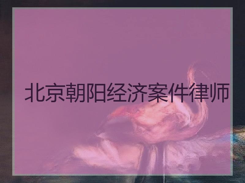 北京朝阳经济案件律师