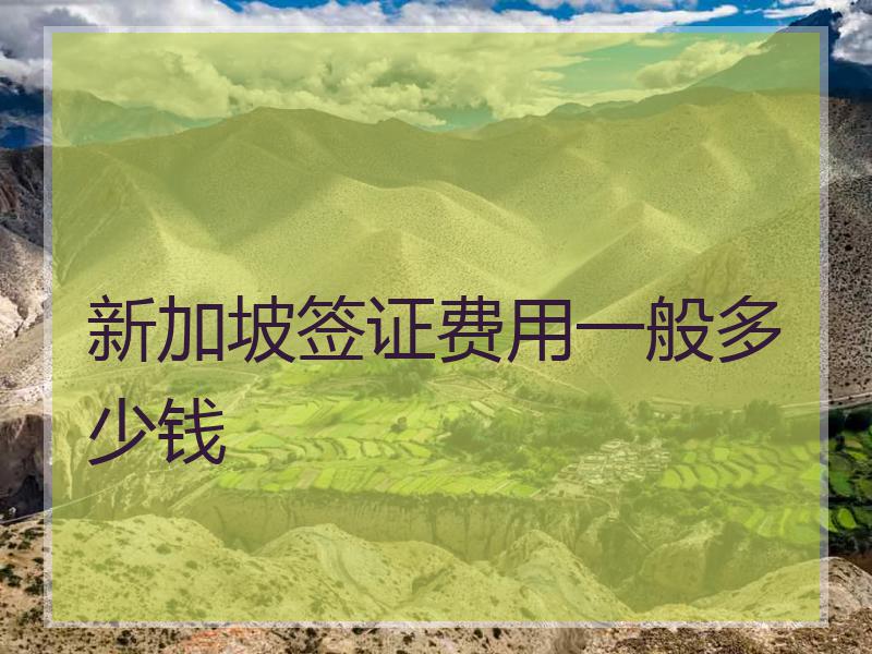新加坡签证费用一般多少钱