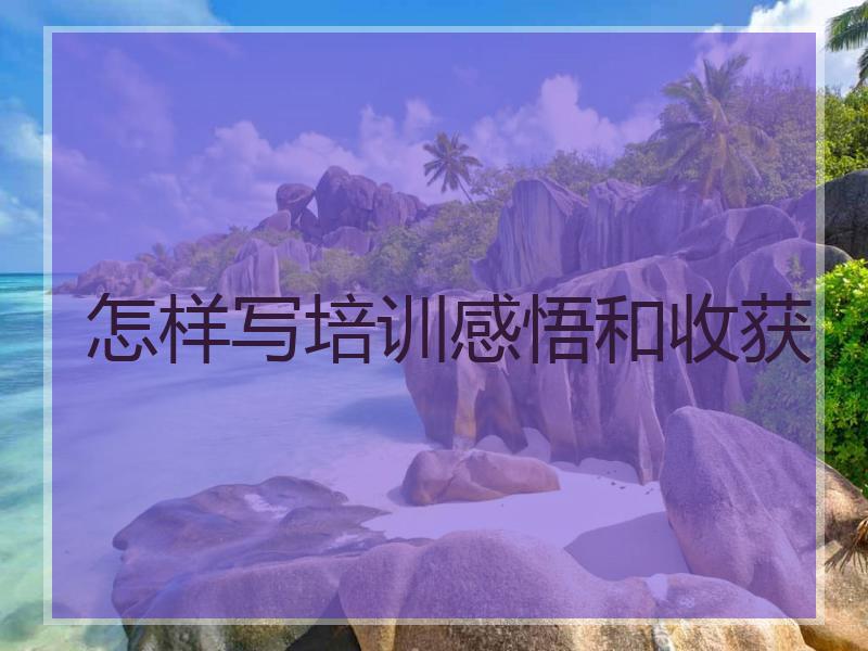 怎样写培训感悟和收获