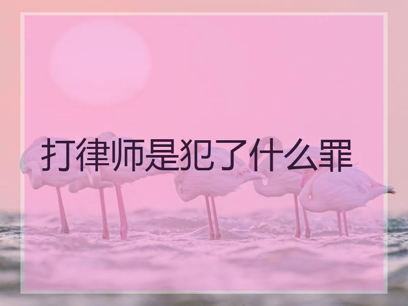 打律师是犯了什么罪