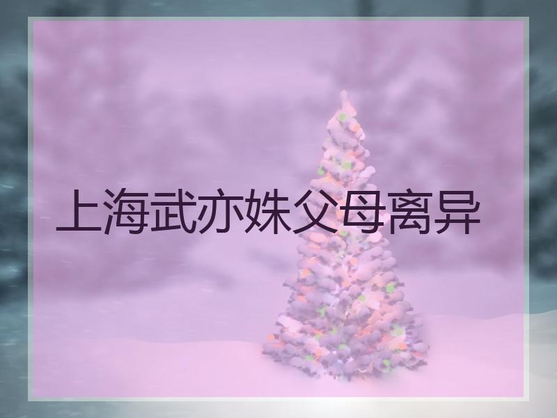 上海武亦姝父母离异