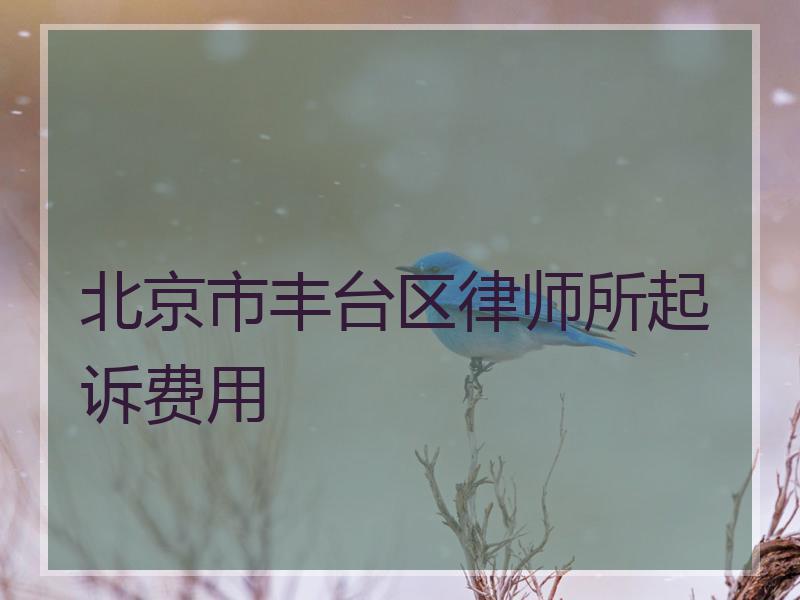 北京市丰台区律师所起诉费用