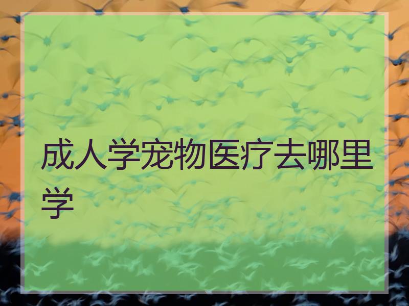 成人学宠物医疗去哪里学