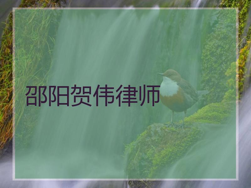 邵阳贺伟律师