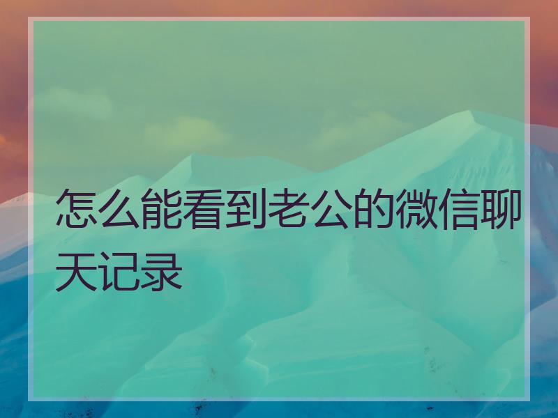 怎么能看到老公的微信聊天记录