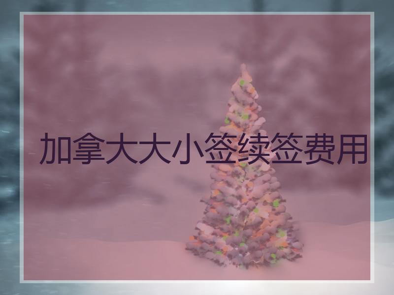 加拿大大小签续签费用