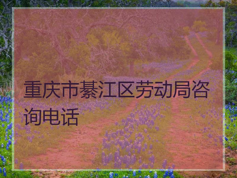 重庆市綦江区劳动局咨询电话