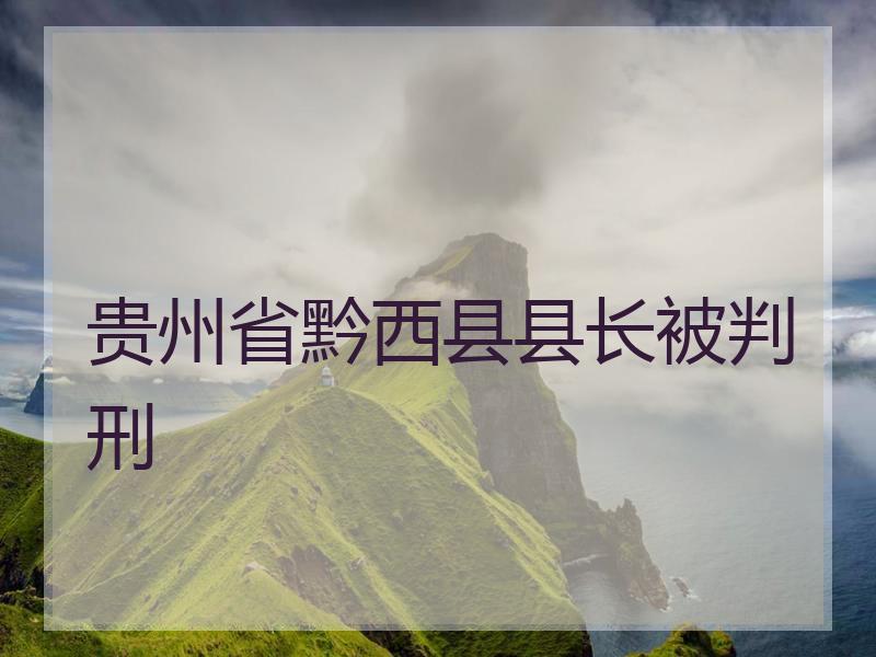 贵州省黔西县县长被判刑 贵州省黔西县县长被判刑