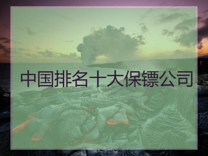 中国排名十大保镖公司