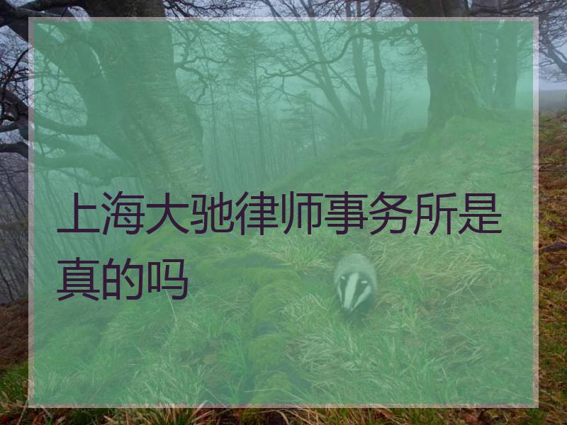 上海大驰律师事务所是真的吗