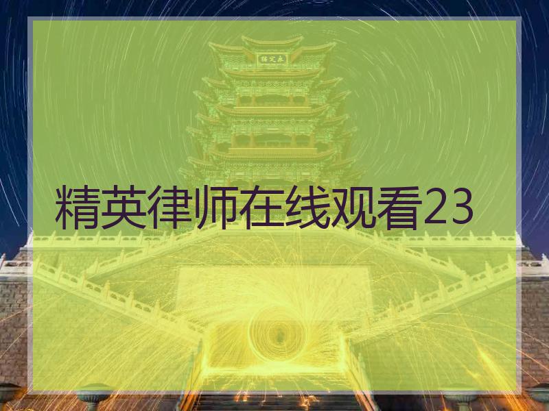 精英律师在线观看23