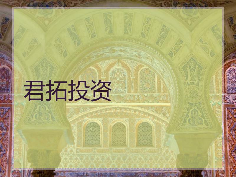 君拓投资