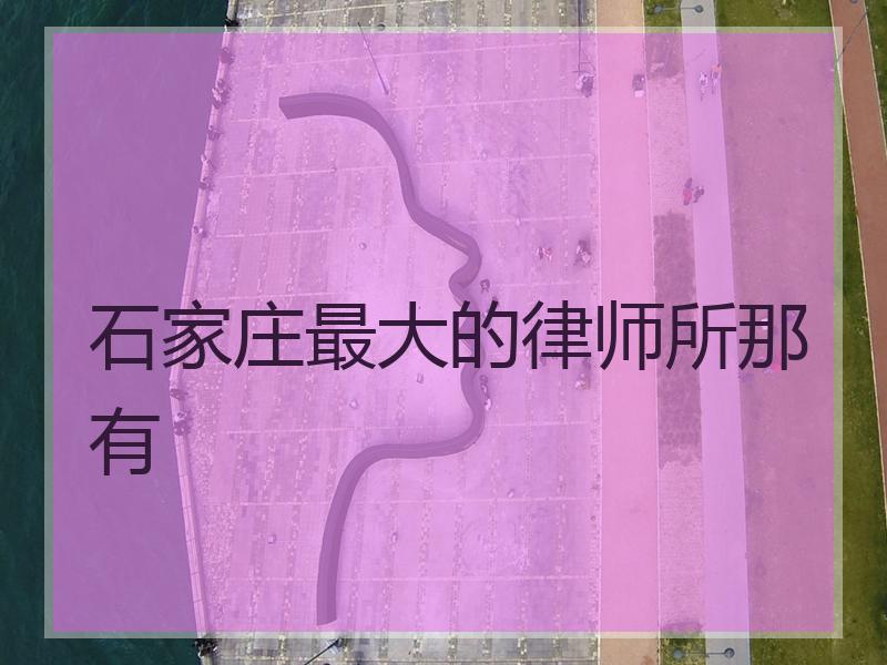 石家庄最大的律师所那有