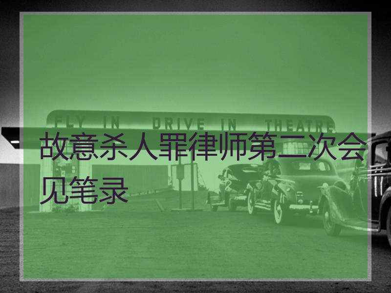 故意杀人罪律师第二次会见笔录
