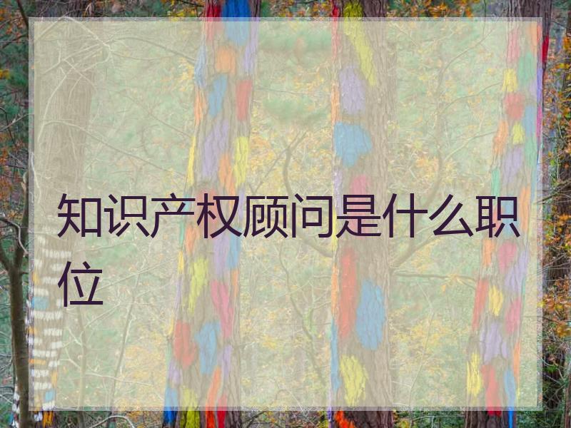 知识产权顾问是什么职位