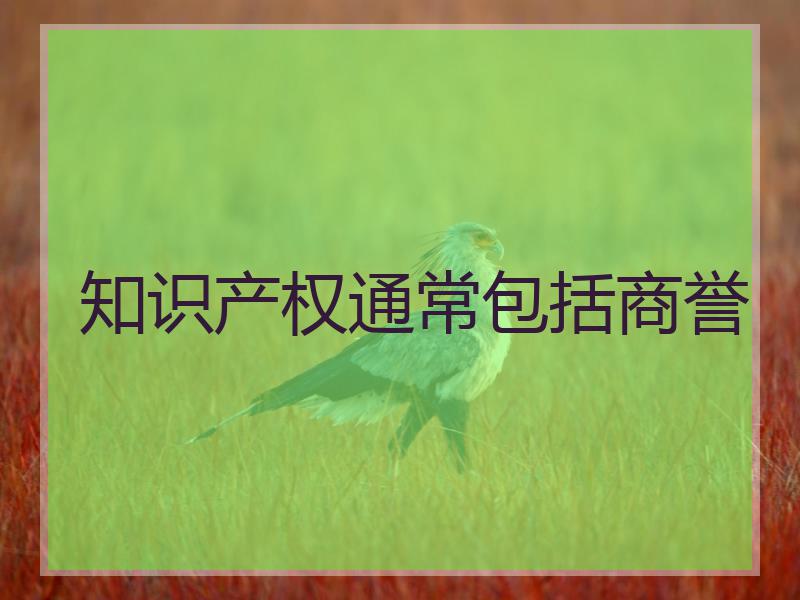知识产权通常包括商誉