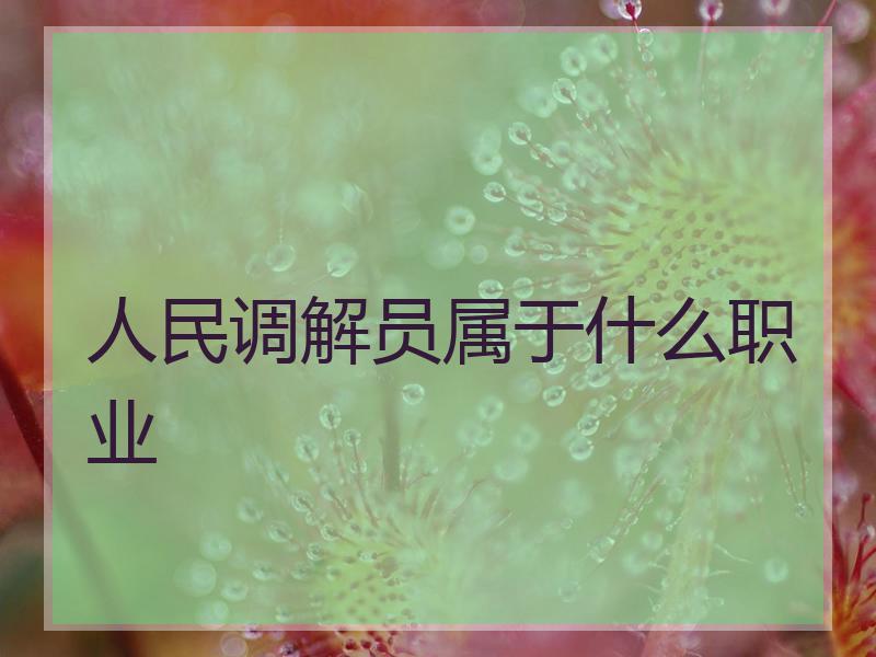 人民调解员属于什么职业