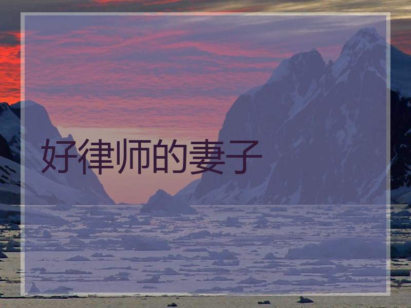 好律师的妻子