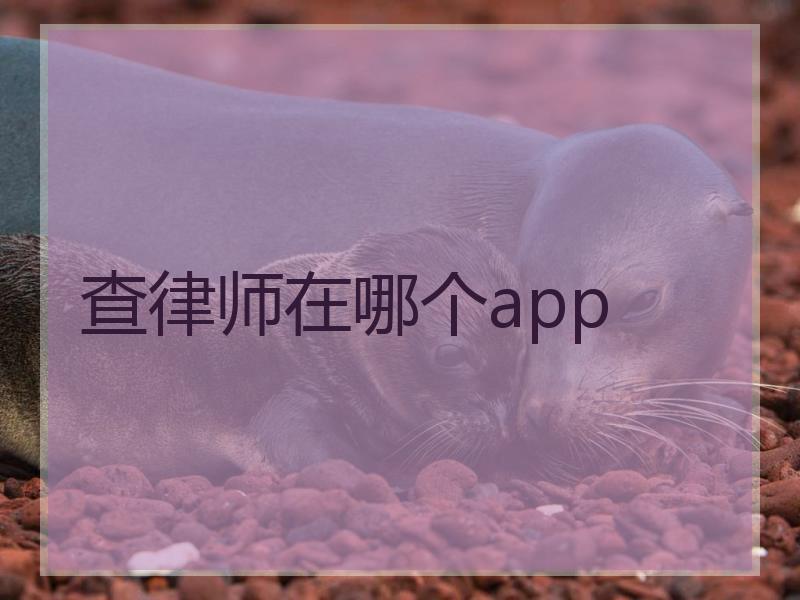 查律师在哪个app
