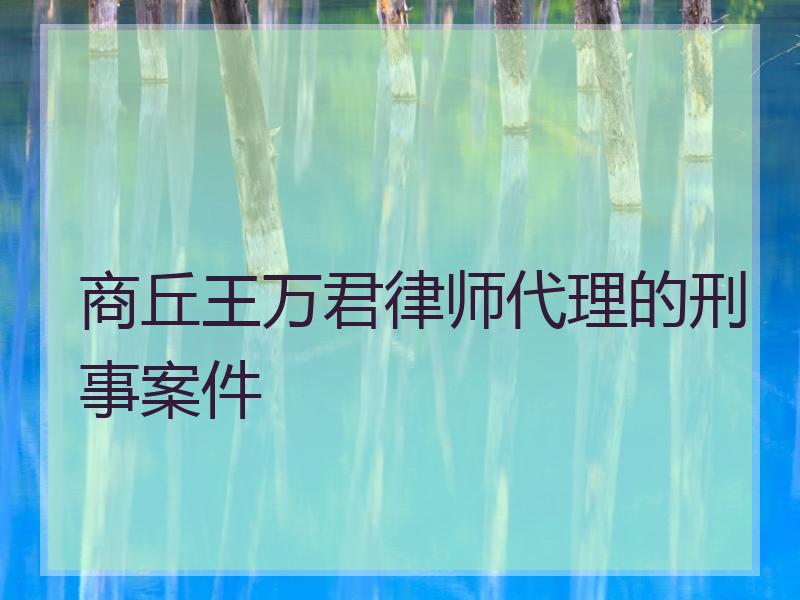 商丘王万君律师代理的刑事案件