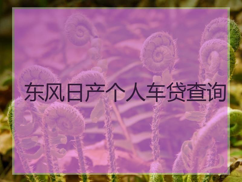 东风日产个人车贷查询