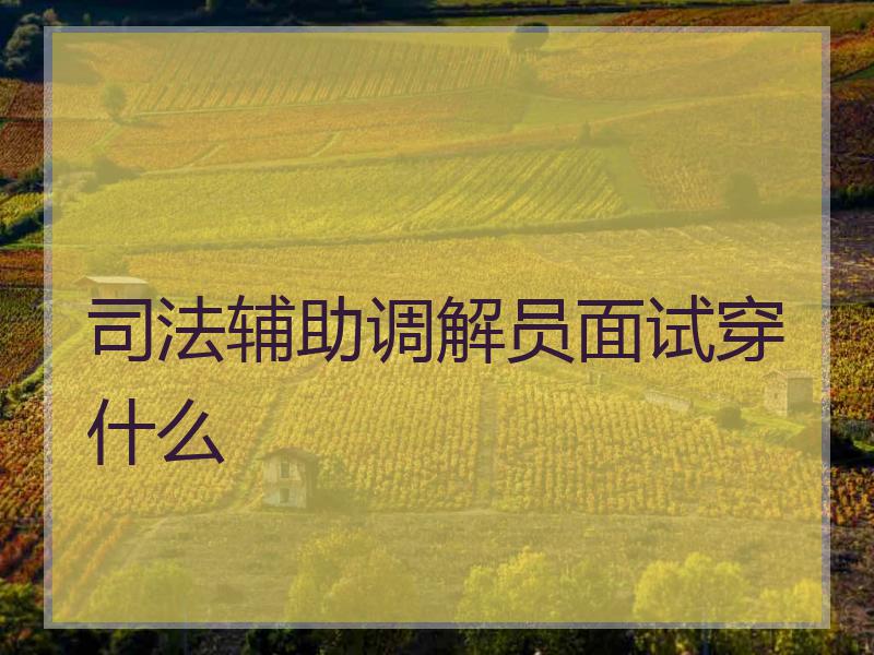 辅助调解员面试穿什么