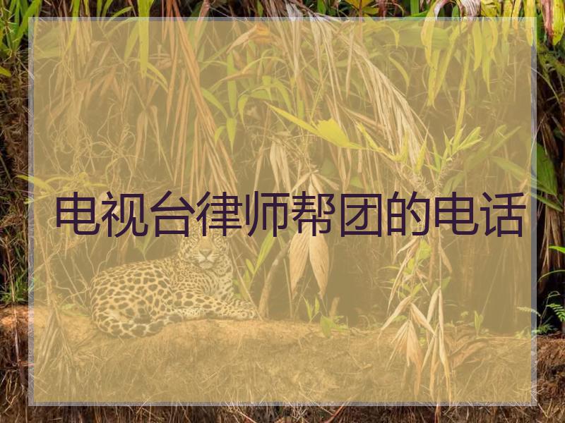 电视台律师帮团的电话