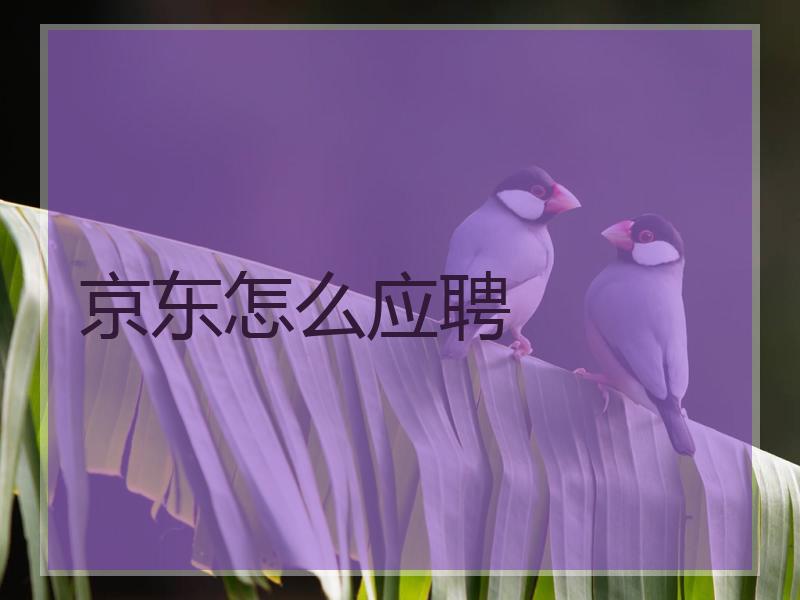 京东怎么应聘