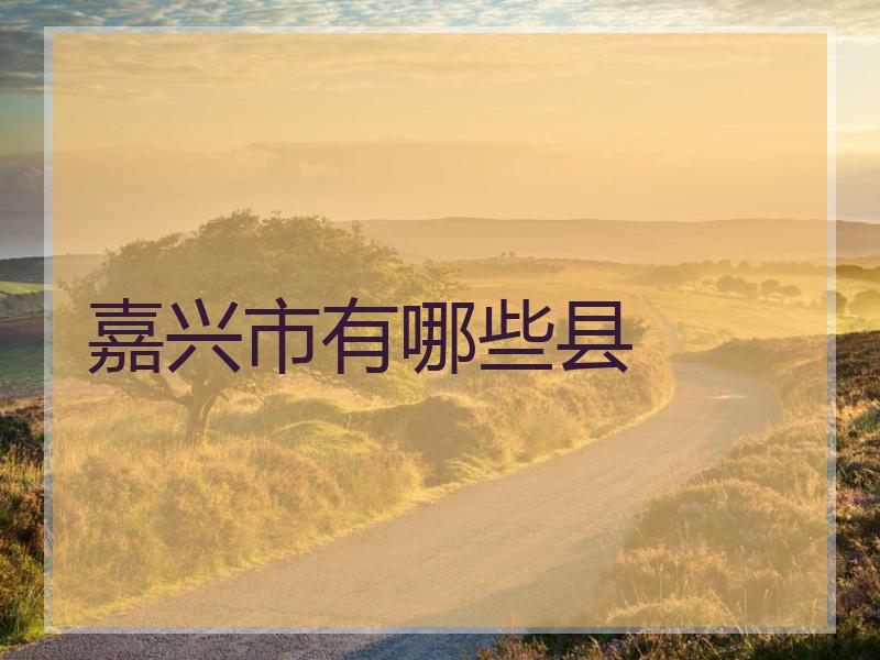 嘉兴市有哪些县