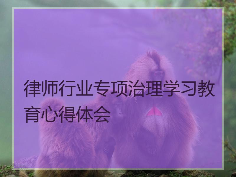律师行业专项治理学习教育心得体会